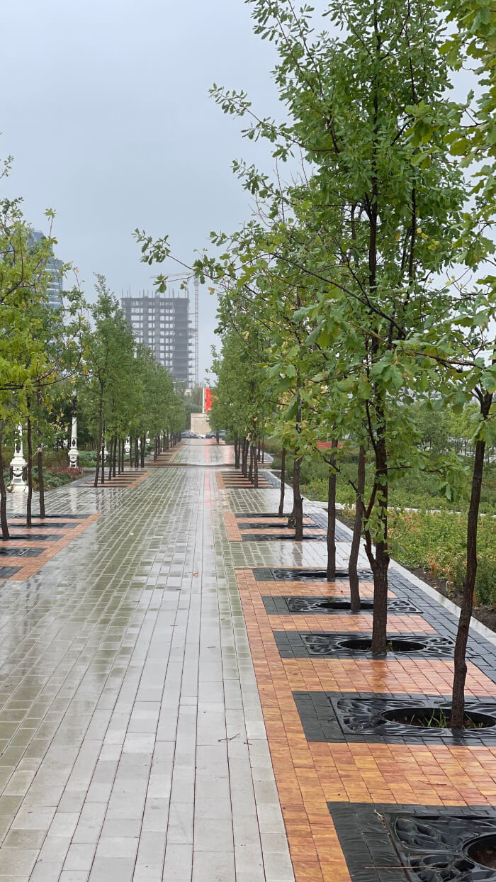 Приствольная решетка для дерева ZKING CRUST 1.2х1.2м Черная в Ноябрьске фото