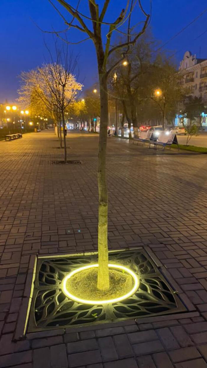 Приствольная решетка для дерева ZKING CRUST 1.2х1.2м Черная в Ноябрьске фото